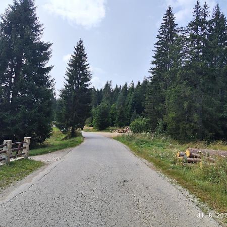 Vila Carobna Suma Tara Bajina Basta Exterior foto